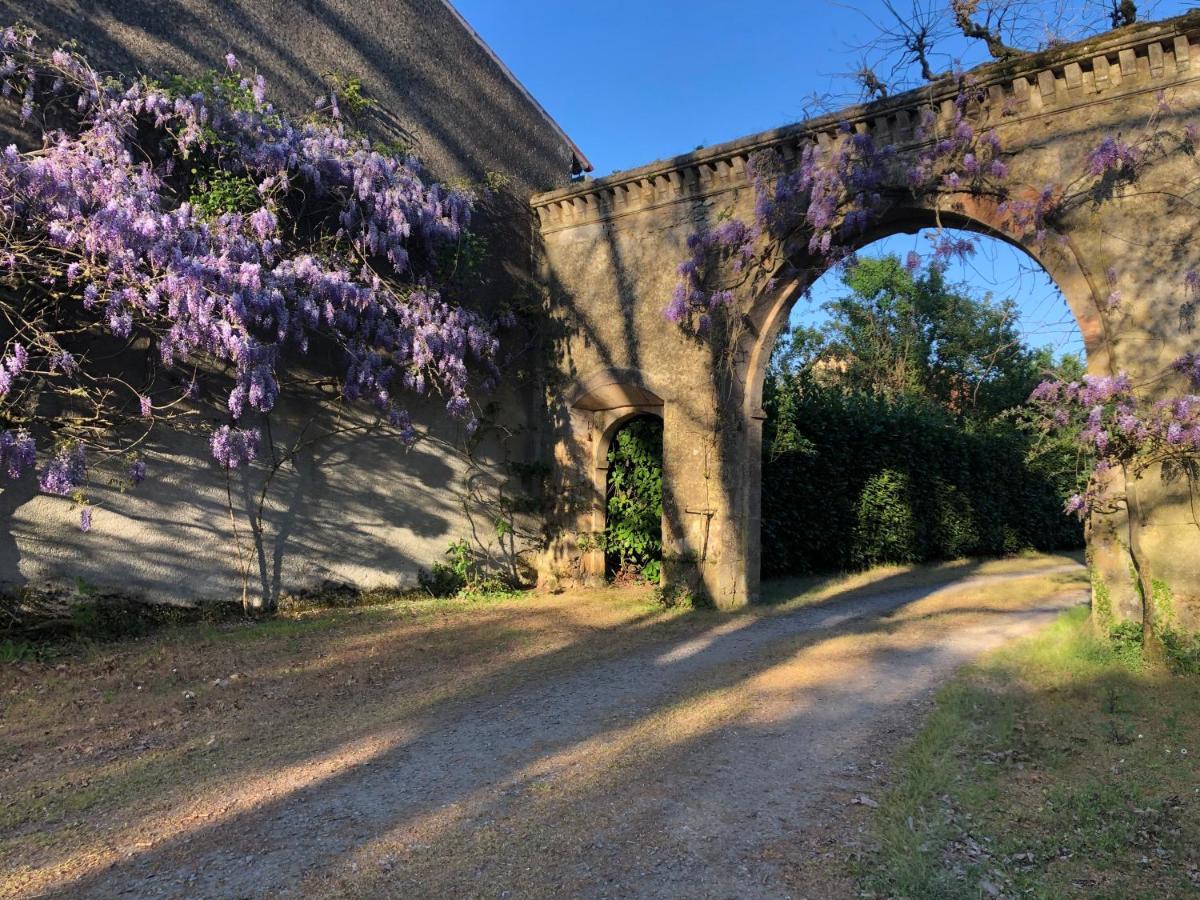 Chateau De La Mothe Saint-Sulpice-en-Pareds Exteriör bild