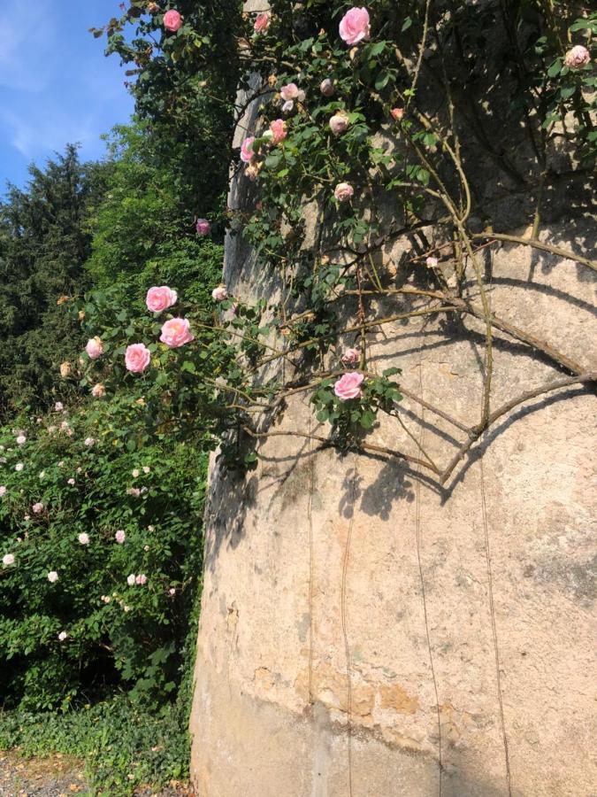 Chateau De La Mothe Saint-Sulpice-en-Pareds Exteriör bild